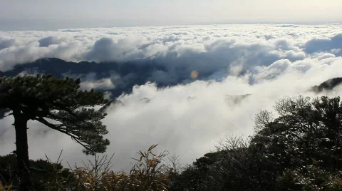 San 17 動画素材 719599