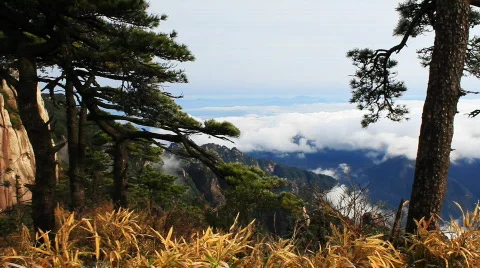 San 19 Video stock 719602