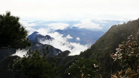 San 20 Stock Footage 719615