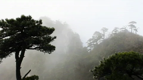 San 21 Stock Footage 719630