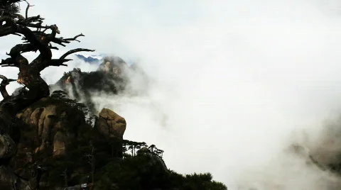 San 24 Video stock 719650