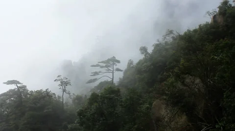 San 29 Stock Footage 31335437