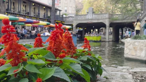 San Antonio Riverwalk Stock Footage 271196722
