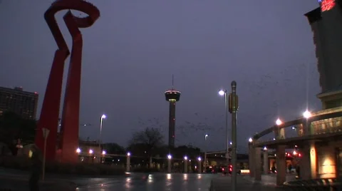 San Antonio Texas tower.birds Stock Footage 1044308