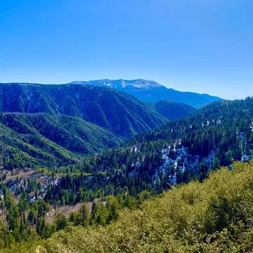 San Bernardino National Forest Stock Photos