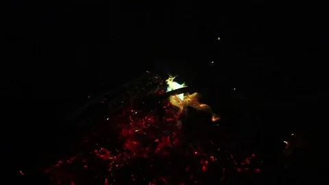 SAN CLEMENTE CALIFORNIA-2019: Multi-Colored Flames Bursting From Forest Foliage Stock Footage 129481603