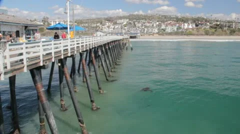 San Clemente Pier Stock Footage 10825155