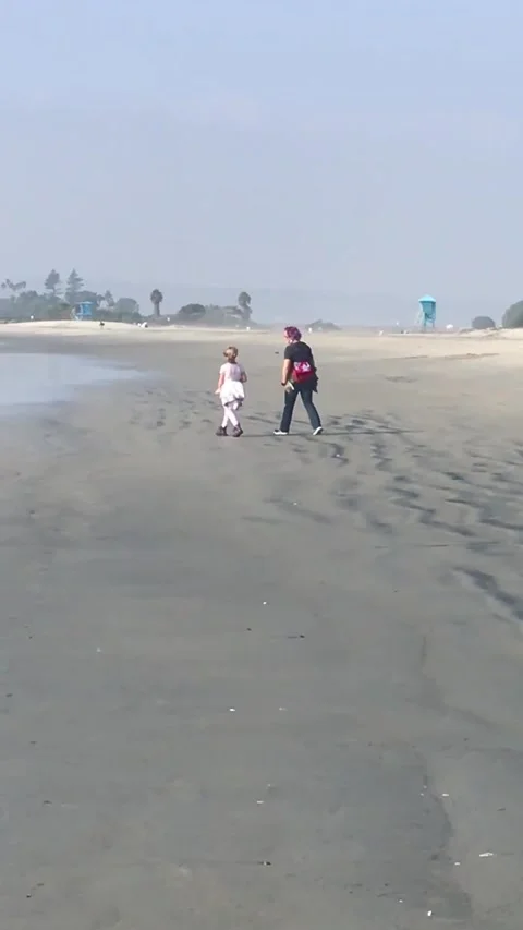 San Diego Beach Stock-Footage 217620557