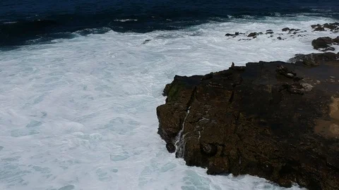 San Diego Beaches With Rolling Waves in Southern California Stock Footage 120367865