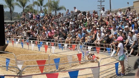 San Diego, California - Circa 2017: Crowd Watches Pig Race with Audio 4k 60fps Stock Footage