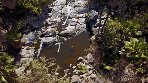 San Diego - SDSU Adobe Falls - Drone Video Video stock 86780754