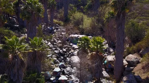 San Diego - SDSU Adobe Falls - Drone Video Video stock 86781033