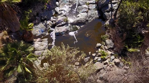 San Diego - SDSU Adobe Falls - Drone Video Video stock 86781655