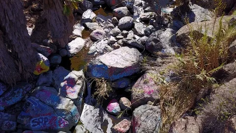San Diego - SDSU Adobe Falls - Drone Video Video stock 86781735