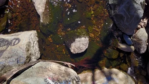 San Diego - SDSU Adobe Falls - Drone Video Video stock 86782242