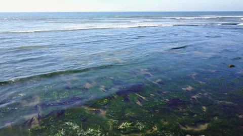 San Diego - Sunset Cliffs - Drone Video Stock Footage 79661777