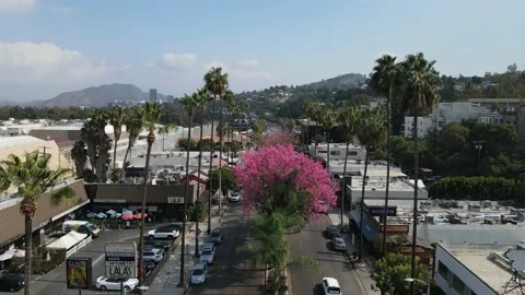 San Fernando Valley Video stock 166249369