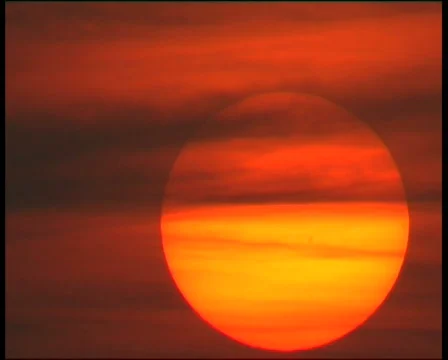 San 動画素材 565974