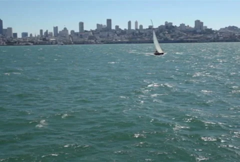 San Francisco 02 SD 스톡 동영상 8916040