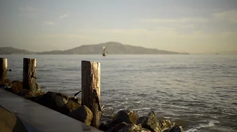 San Francisco Bay Stock Footage 48504244