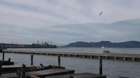 San Francisco Bay Stock Footage 101234551