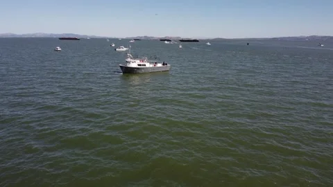 San Francisco Bay Stock Footage 196828803