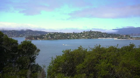 San francisco bay on a sunny day Stock Footage