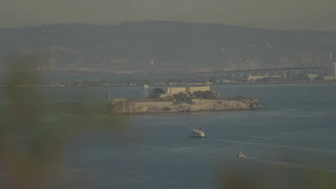 San Francisco, CA - Dec 10, 2024: Alcatraz Island with bush branch foreground Vídeos de archivo 333576005