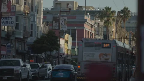 San Francisco, CA - Dec 10, 2024: Street with palm tree and passing bus Stock Footage 333576084