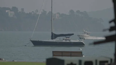 San Francisco, CA - Dec 12, 2024: Boat on water with garden foreground and hill Stock Footage 333578294