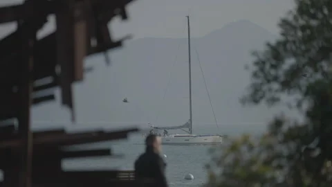 San Francisco, CA - Dec 12, 2024: Boat crossing left to right with tree and hill Stock Footage 333578301