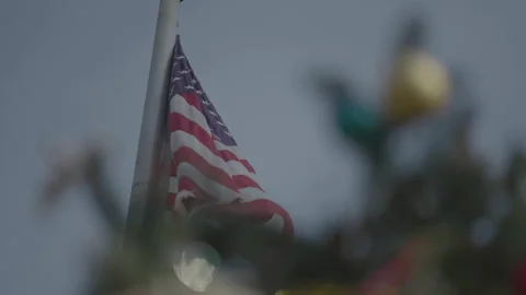 San Francisco, CA - Dec 12, 2024: Low angle US flag with Christmas tree Stock Footage 333580258