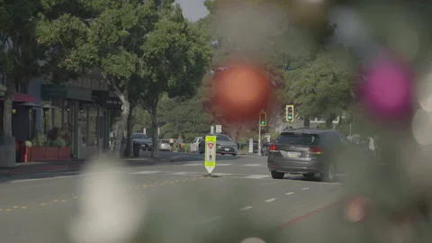 San Francisco, CA - Dec 12, 2024: Street with passing car and Christmas deco Stock Footage 333615555