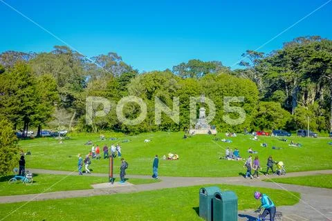 San Francisco, California - February 11, 2017: Beautiful Golden Gate Park in San Stock Photos