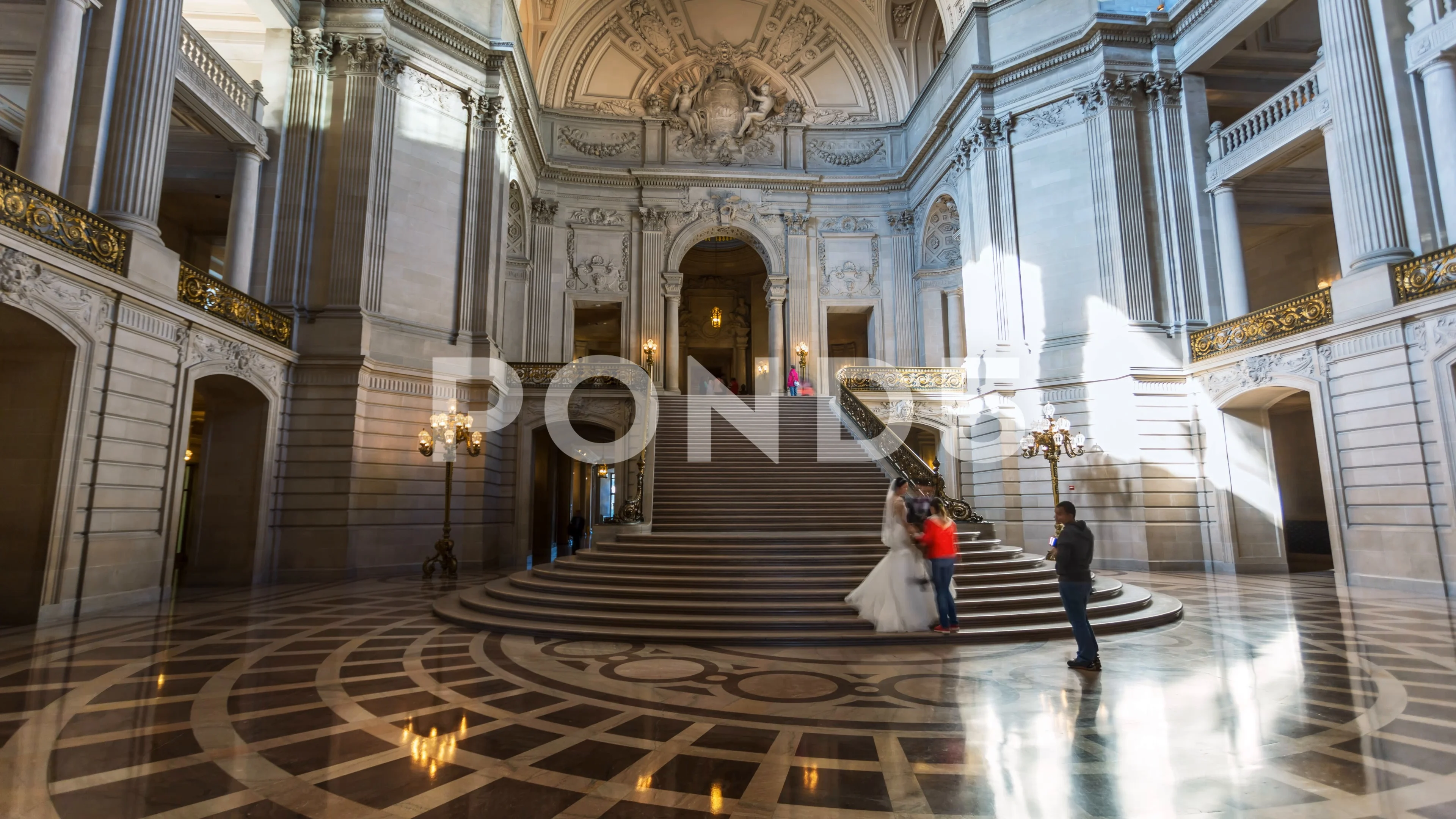 are dogs allowed inside san francisco city hall