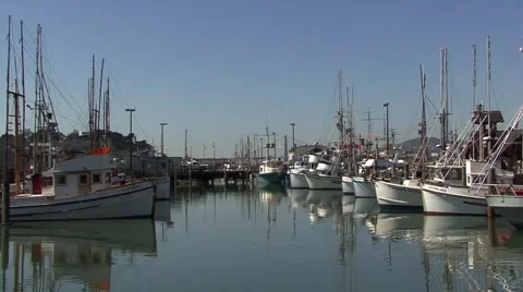 San Francisco Harbour Stock-Footage 43157481