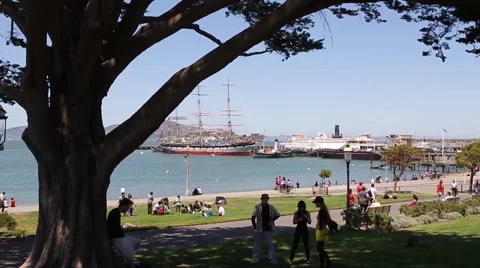 San Francisco Park Stock Footage 56332016
