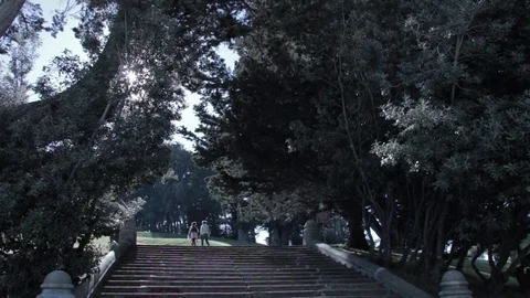 San Francisco Park 스톡 동영상 75520886