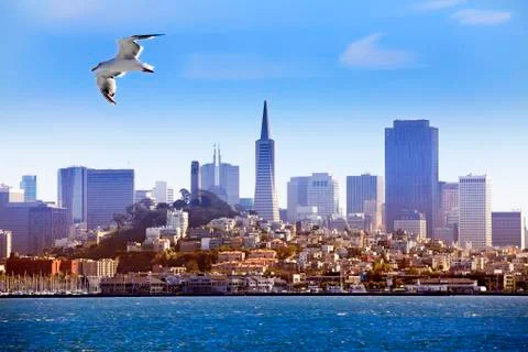 San Francisco Stock Photos