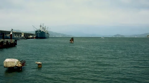 San Francisco Pier Видео 49943677