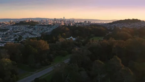 San Francisco skyline at dusk, viewed from Golden Gate Park, USA Stock Footage 313852469