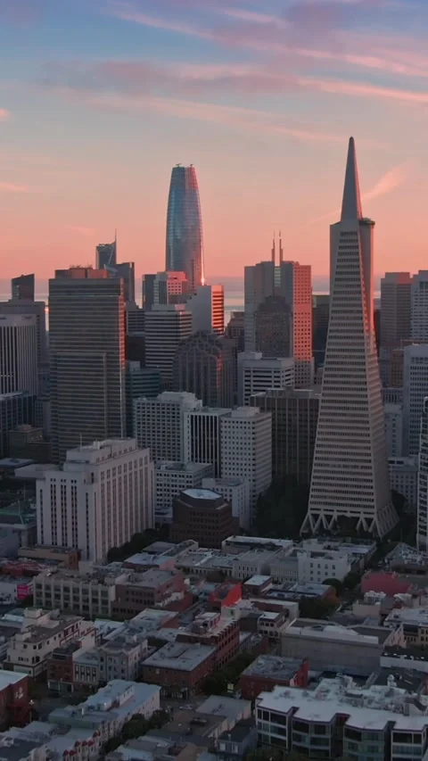 San Francisco skyline at sunset, with bridge and cityscape.  USA Stock Footage 313603751