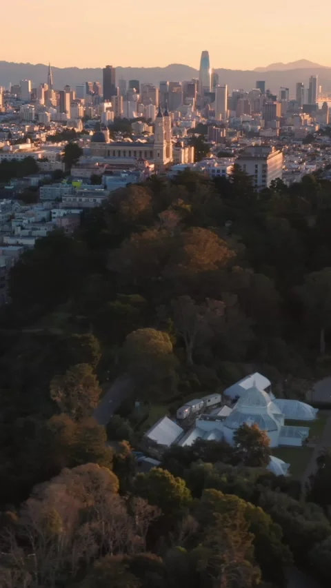 San Francisco skyline at sunset, seen from Golden Gate Park.  USA Stock Footage 313854380