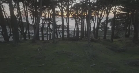 San Francisco - Sutro Baths009 Stock Footage 250562965