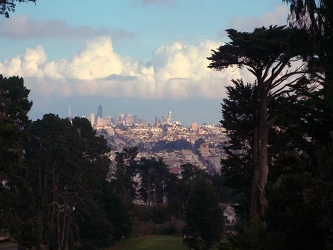 San Francisco View from Park Stock Footage