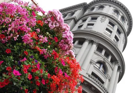 San francisco view Stock Photos