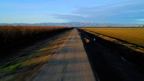 San Joaquin River Stock Footage 90391517