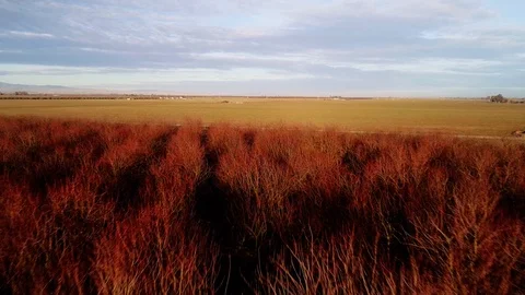 San Joaquin River Stock Footage 90392240