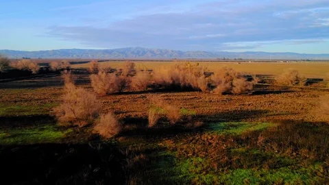 San Joaquin River Stock Footage 90392413
