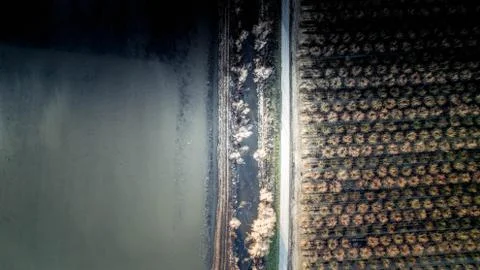 San Joaquin River Stock Photos